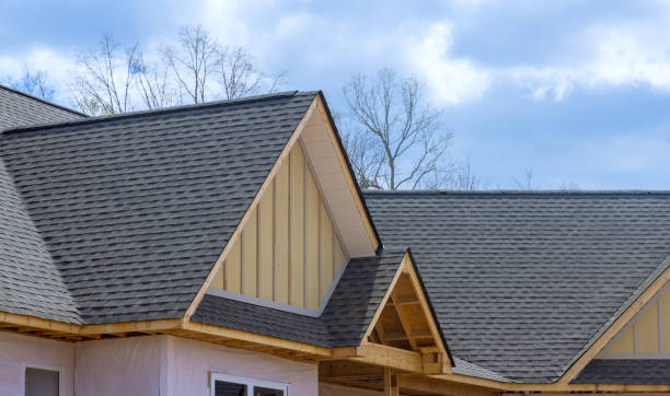 Best Roof Insulation Installation  in Sevierville, TN